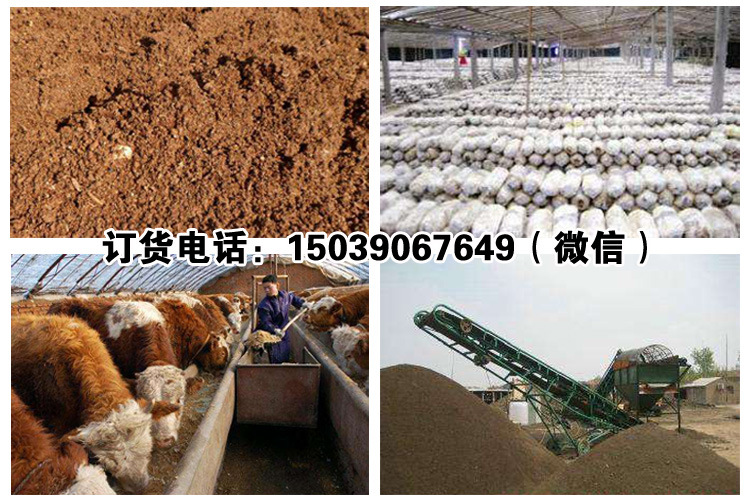 4．發(fā)酵牛飼料可以喂牛嗎？ 
