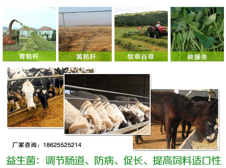 4、中國(guó)十大名牌牛飼料