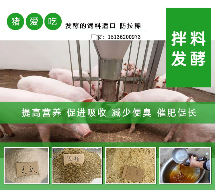 2、豬飼料可以喂牛嗎？