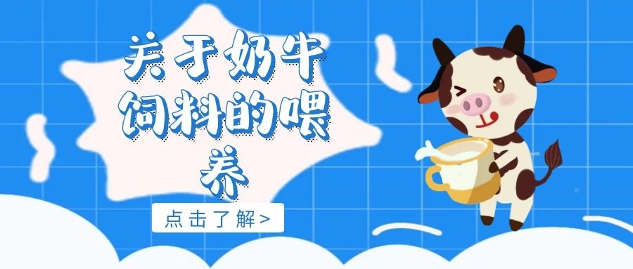 3、奶牛常用的飼料有哪些？ 
