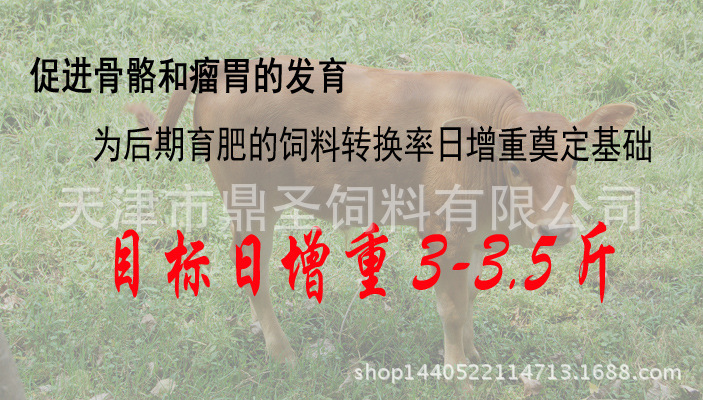 2、育肥牛每天需要多少飼料/肉牛每天吃多少飼料