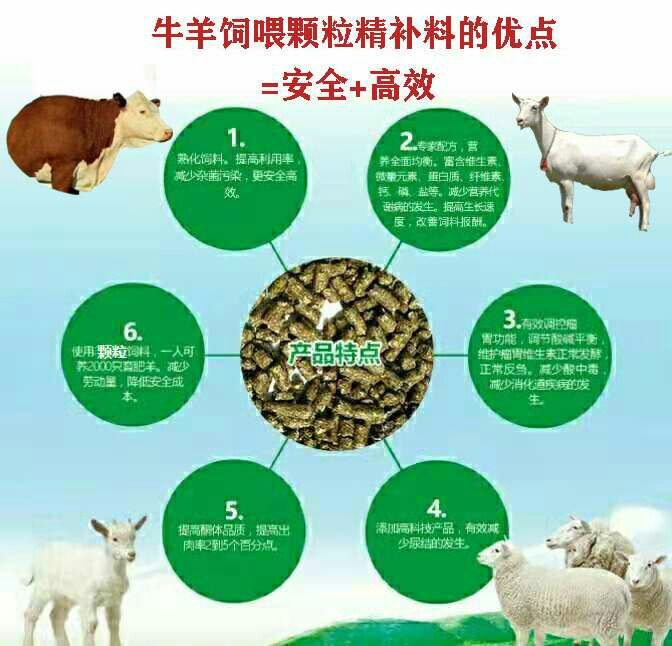 二、維生素、微量元素―――添加劑預(yù)混料